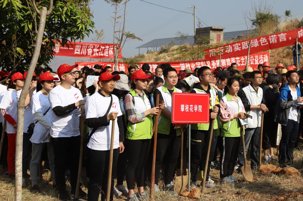 植树活动现场